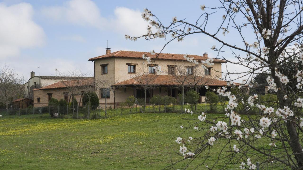 Casa Rural Pilon Del Fraile Oropesa Eksteriør bilde